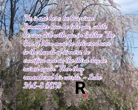 (Text is a quote from Luke 24:6-8 NIV version in purple script, bordered in white. A text beneath the Bible verse is a bold "R" with a red "+" on the bottom left corner of the letter. The background is a picture of a tree with pink flowers in full bloom).